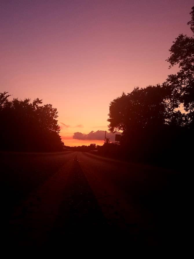 Road leading towards a vibrant sunset framed by silhouetted trees
