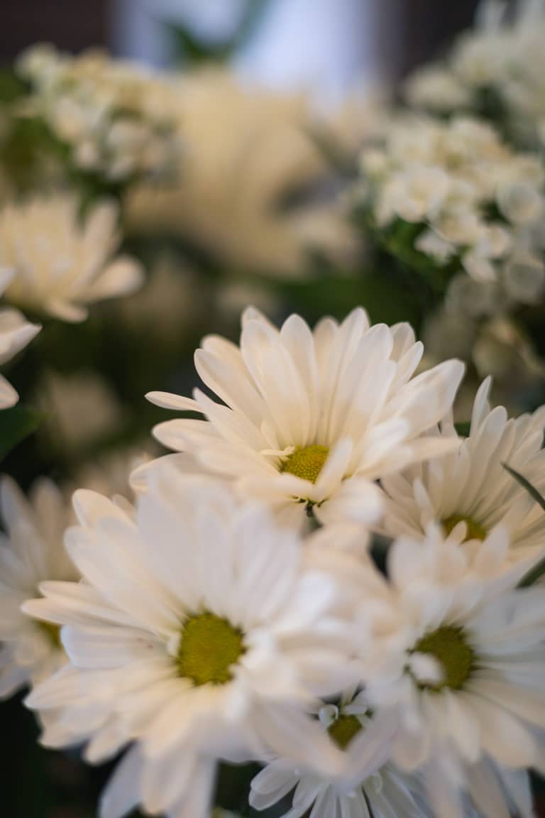 Close-up of white daisies with green centers, soft and romantic wedding floral detail